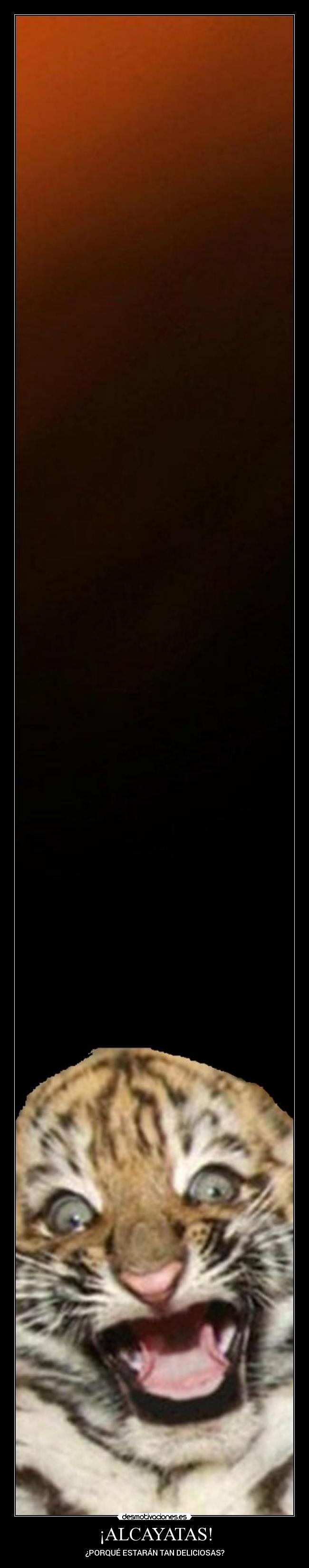 ¡ALCAYATAS! -