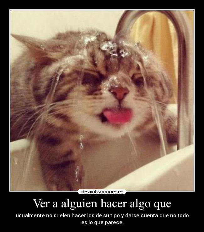 Ver a alguien hacer algo que - usualmente no suelen hacer los de su tipo y darse cuenta que no todo
es lo que parece.