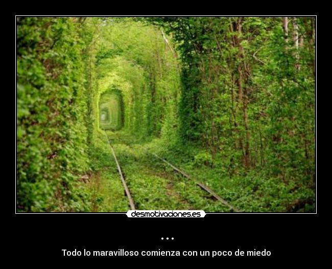 ... - Todo lo maravilloso comienza con un poco de miedo