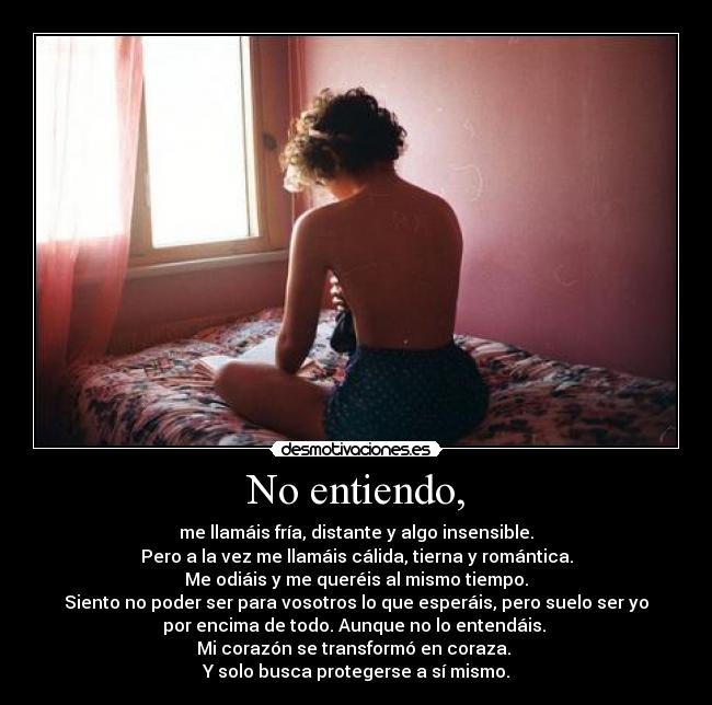 No entiendo, - me llamáis fría, distante y algo insensible.
Pero a la vez me llamáis cálida, tierna y romántica.
Me odiáis y me queréis al mismo tiempo.
Siento no poder ser para vosotros lo que esperáis, pero suelo ser yo
por encima de todo. Aunque no lo entendáis.
Mi corazón se transformó en coraza.
Y solo busca protegerse a sí mismo.