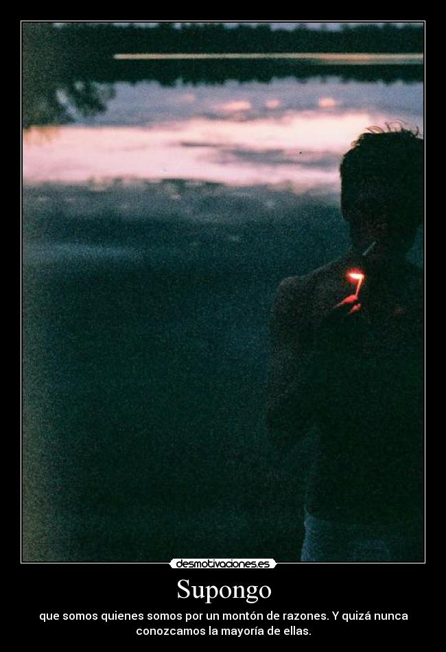 Supongo - que somos quienes somos por un montón de razones. Y quizá nunca
conozcamos la mayoría de ellas.
