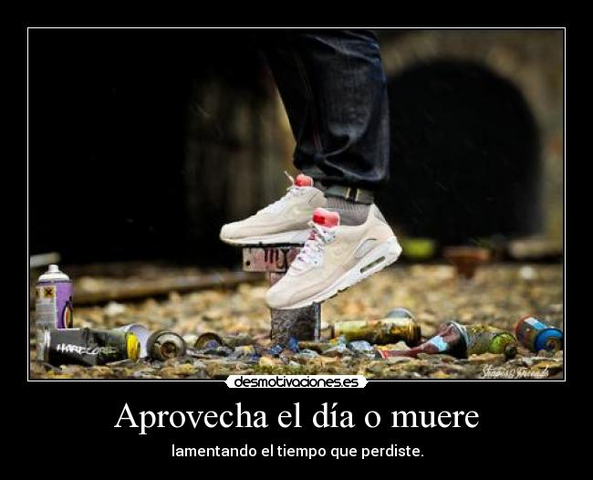 Aprovecha el día o muere -