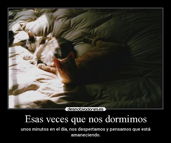 Esas veces que nos dormimos - unos minutos en el día, nos despertamos y pensamos que está amaneciendo.