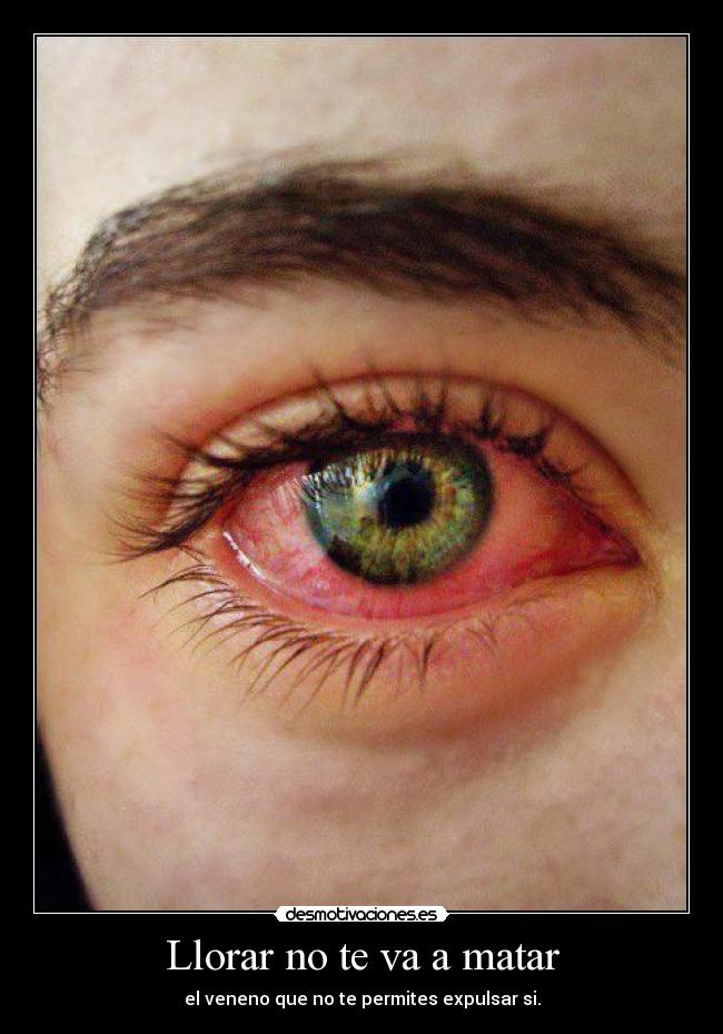 carteles llorar llorar desmotivaciones