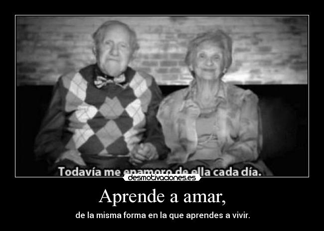 carteles directionerloveforever desmotivaciones