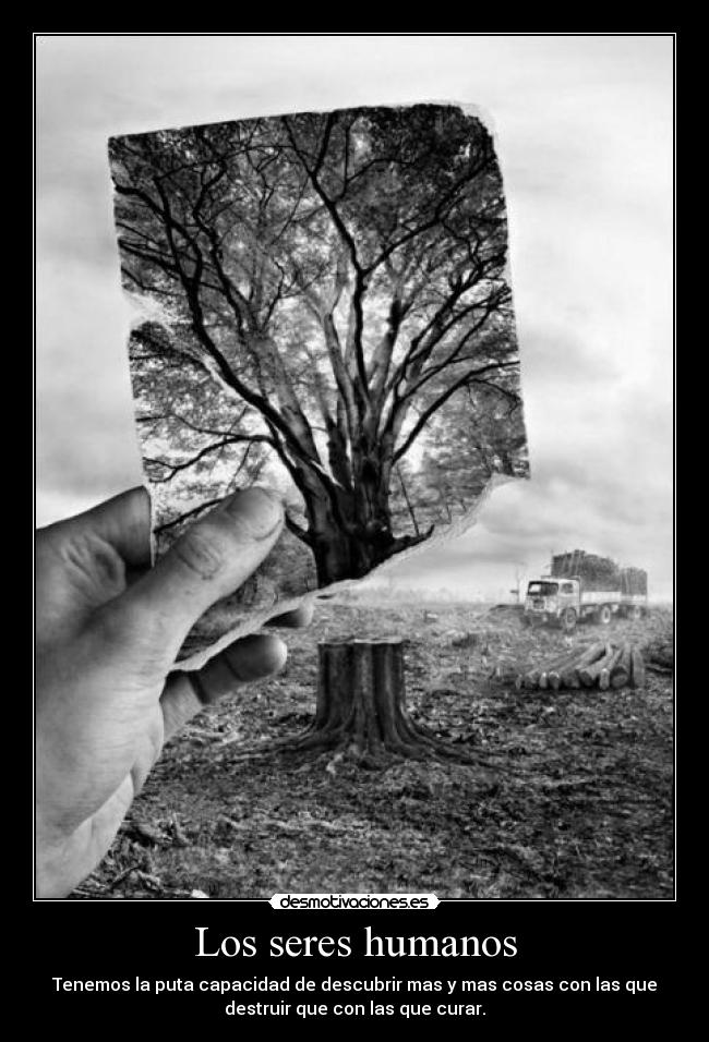 Los seres humanos - 