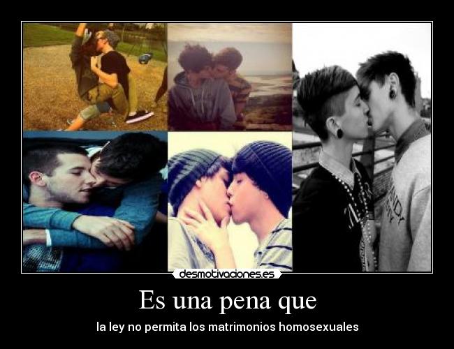 Es una pena que - la ley no permita los matrimonios homosexuales