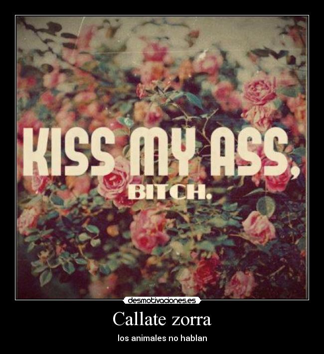 Callate zorra - 