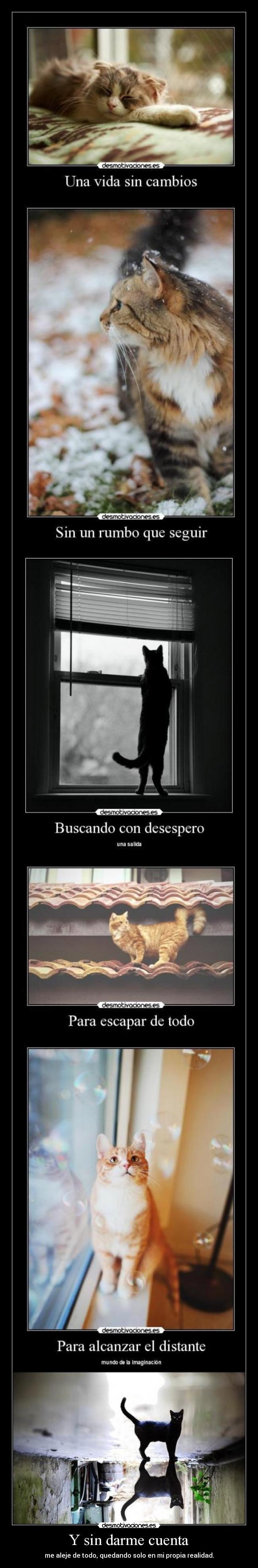 Y sin darme cuenta - me aleje de todo, quedando solo en mi propia realidad.