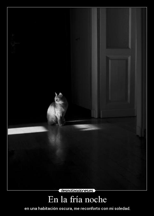 En la fría noche - en una habitación oscura, me reconforto con mi soledad.
