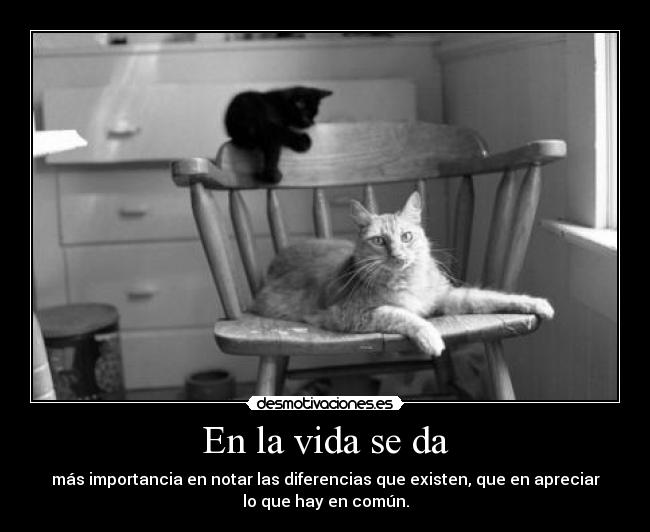 En la vida se da - más importancia en notar las diferencias que existen, que en apreciar
lo que hay en común.