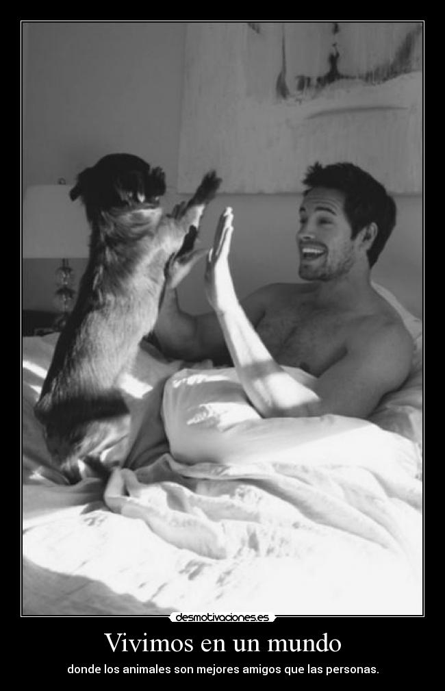 Vivimos en un mundo - donde los animales son mejores amigos que las personas.