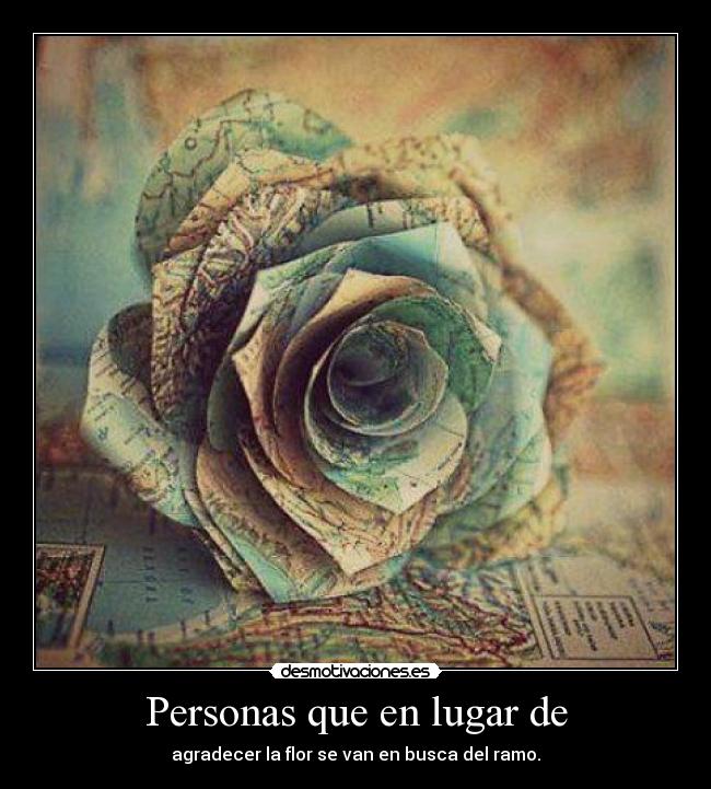 Personas que en lugar de - agradecer la flor se van en busca del ramo.