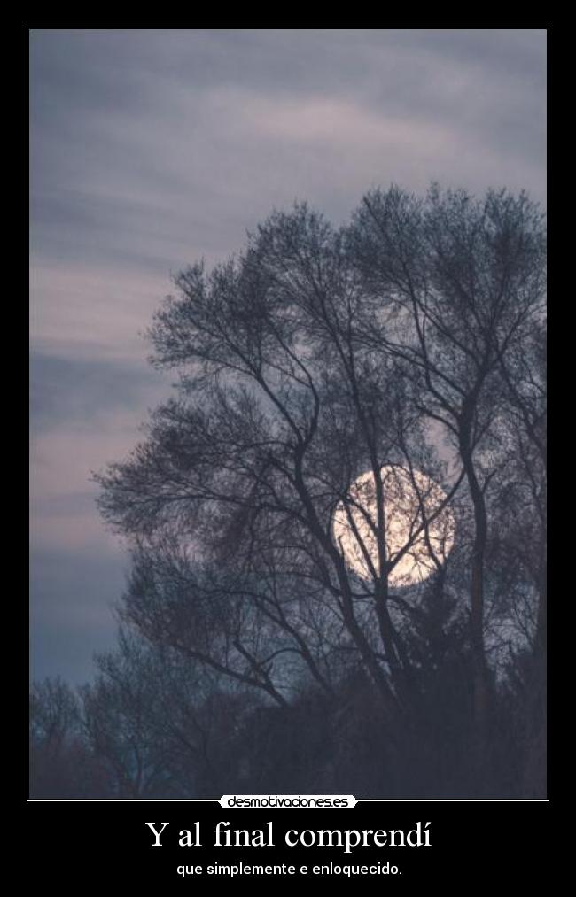 Y al final comprendí - 