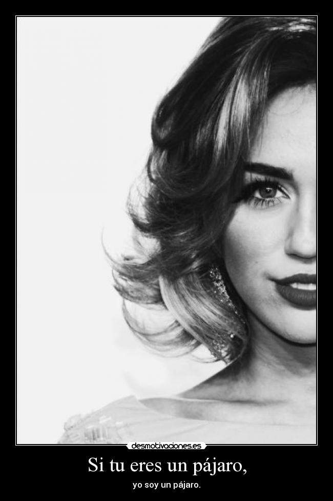 Si tu eres un pájaro, -