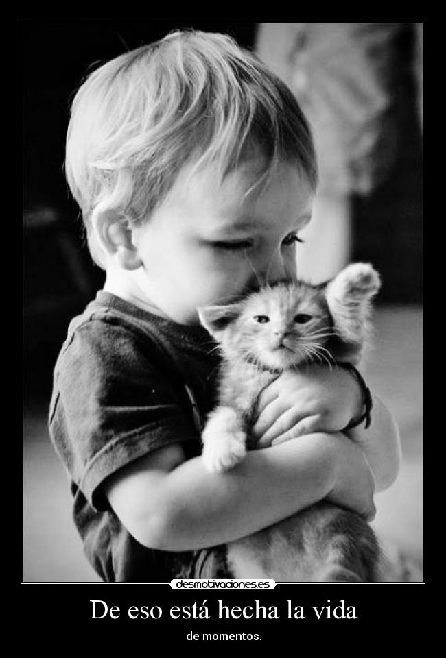 De eso está hecha la vida - de momentos.
