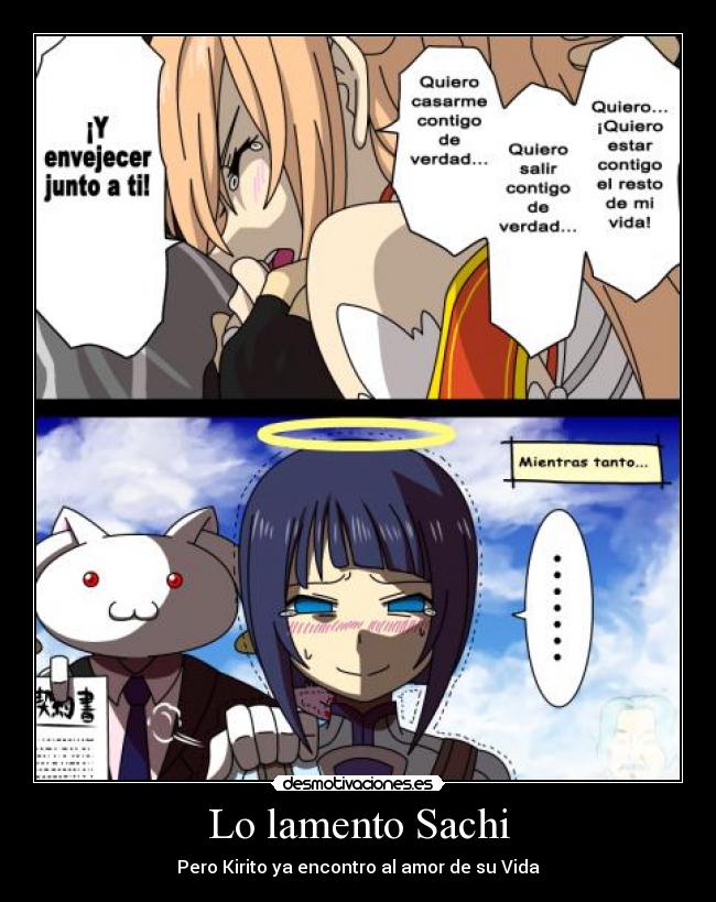 Lo lamento Sachi - 