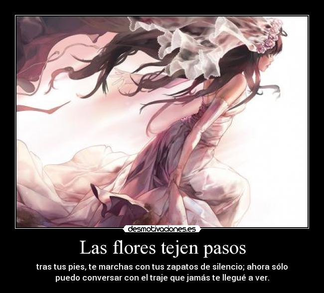 Las flores tejen pasos - tras tus pies, te marchas con tus zapatos de silencio; ahora sólo
puedo conversar con el traje que jamás te llegué a ver.