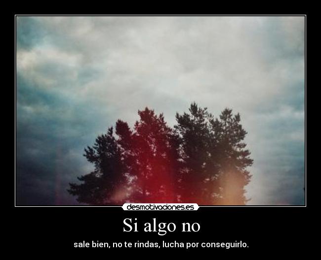 Si algo no - 