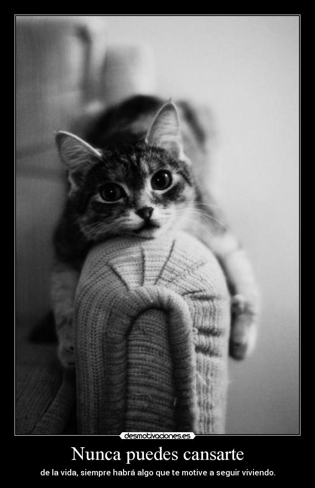 Nunca puedes cansarte - de la vida, siempre habrá algo que te motive a seguir viviendo.