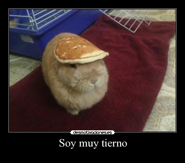 Soy muy tierno -