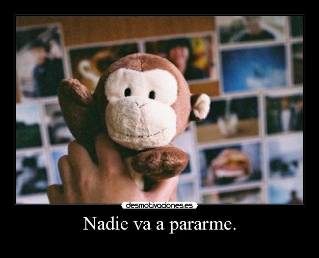 carteles stuffed animal desmotivaciones