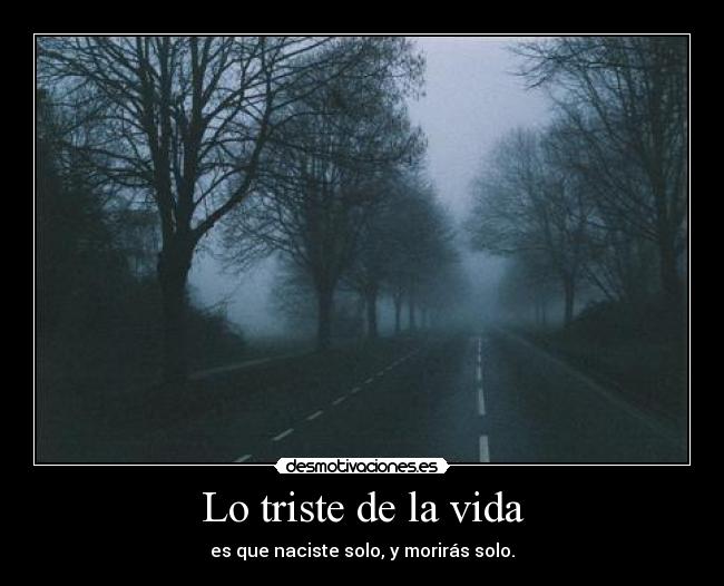 carteles vida enfin una triste realidad desmotivaciones