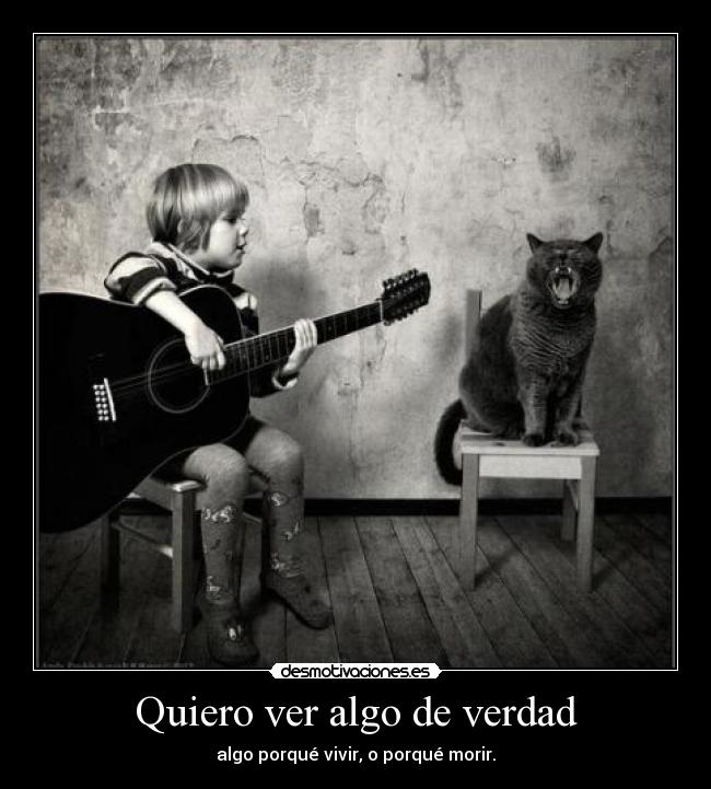 Quiero ver algo de verdad -