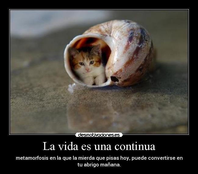 La vida es una continua - metamorfosis en la que la mierda que pisas hoy, puede convertirse en
tu abrigo mañana.