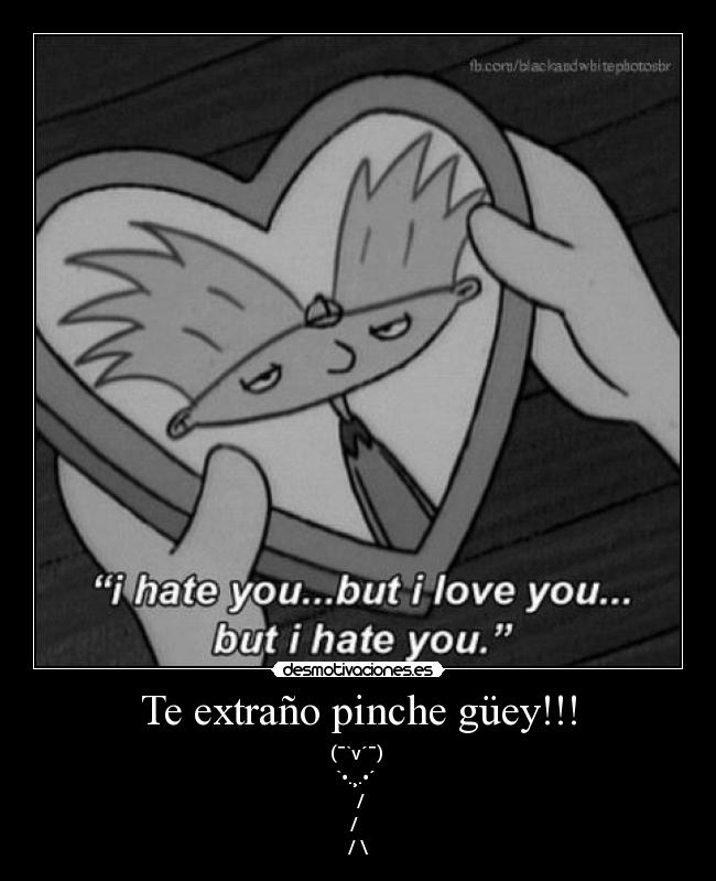 Te extraño pinche güey!!! - 