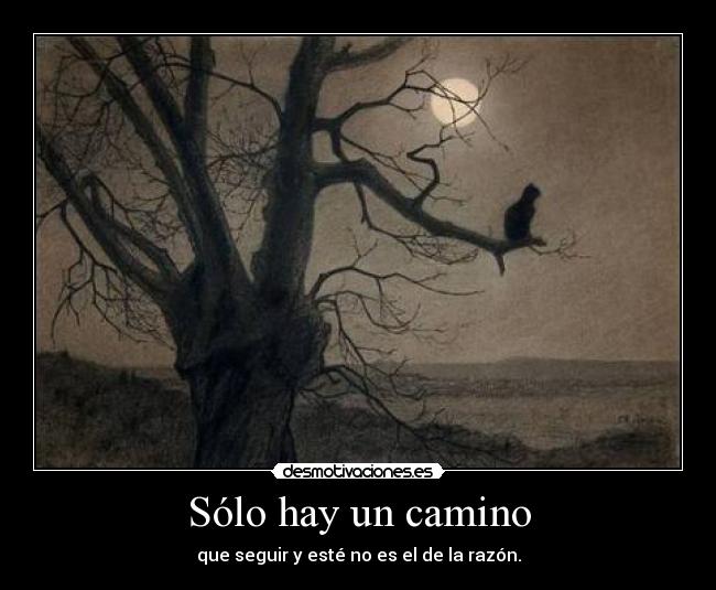Sólo hay un camino - que seguir y esté no es el de la razón.