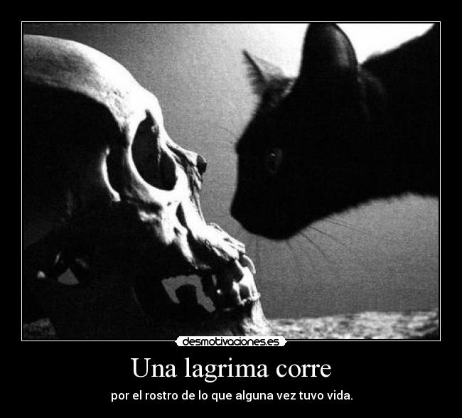 Una lagrima corre - por el rostro de lo que alguna vez tuvo vida.