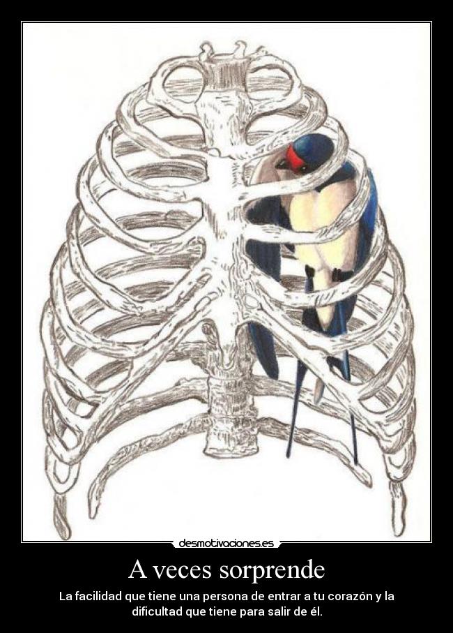 A veces sorprende - 