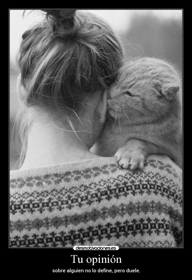 Tu opinión - sobre alguien no lo define, pero duele.