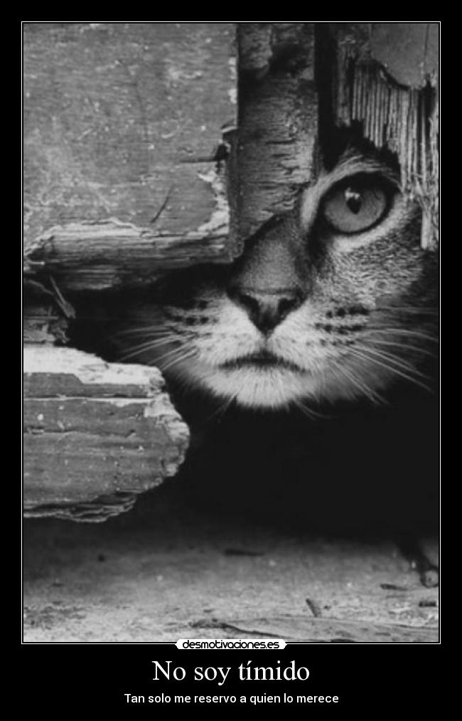 No soy tímido - Tan solo me reservo a quien lo merece