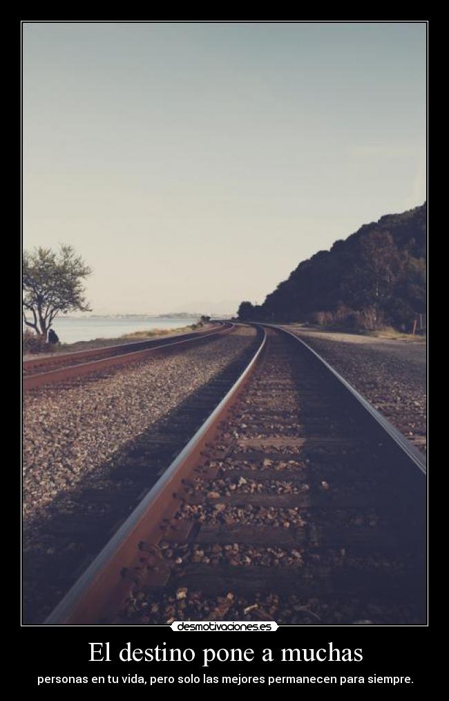 El destino pone a muchas - 