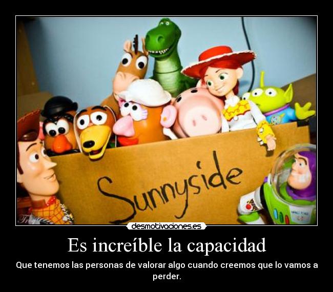 Es increíble la capacidad - Que tenemos las personas de valorar algo cuando creemos que lo vamos a perder.