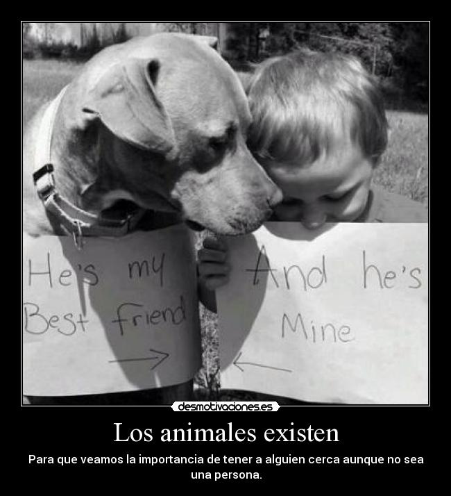carteles animales fernando1991 desmotivaciones