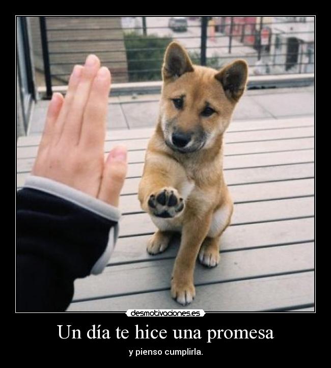 Un día te hice una promesa - 