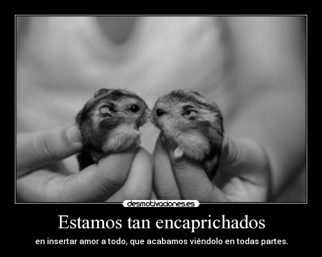 Estamos tan encaprichados -