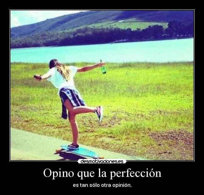 Opino que la perfección - es tan sólo otra opinión.