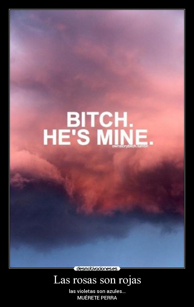 Las rosas son rojas -