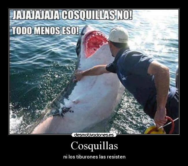 Cosquillas - ni los tiburones las resisten