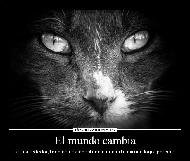 El mundo cambia - a tu alrededor, todo en una constancia que ni tu mirada logra percibir.