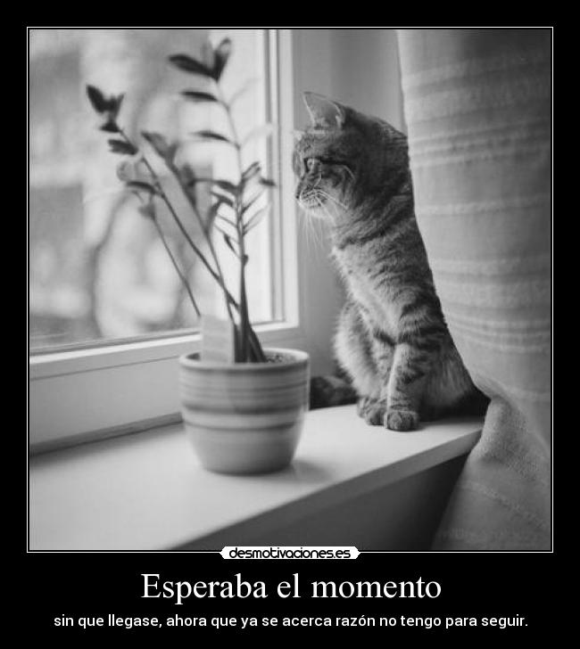 Esperaba el momento - sin que llegase, ahora que ya se acerca razón no tengo para seguir.