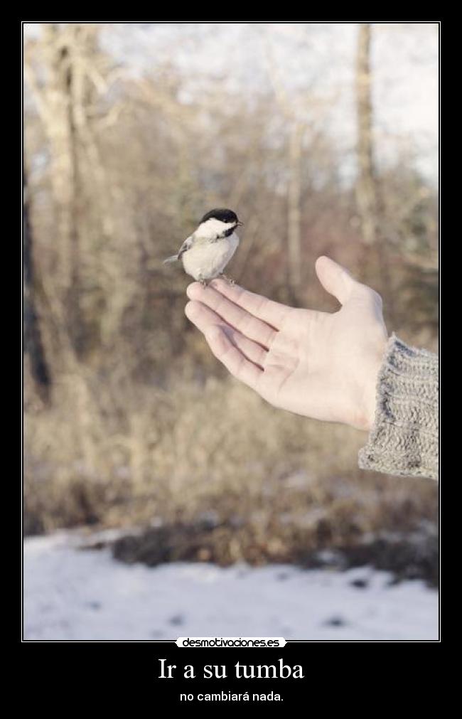 Ir a su tumba - no cambiará nada.