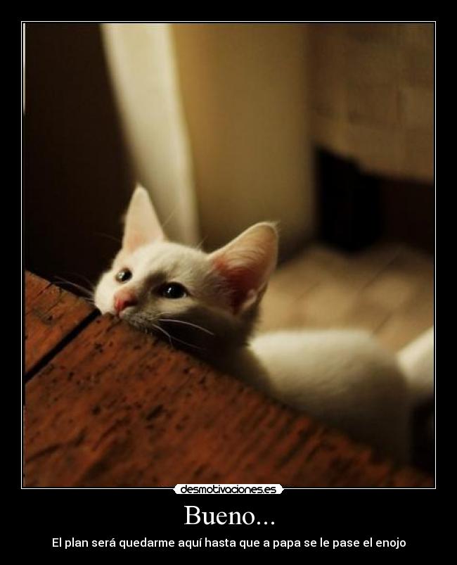 Bueno... -