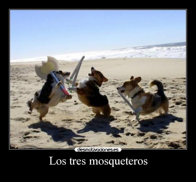Los tres mosqueteros - 