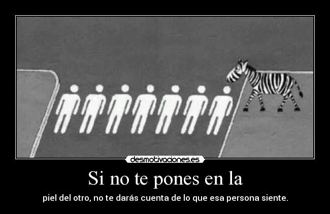 carteles zebra paso personas desmotivaciones