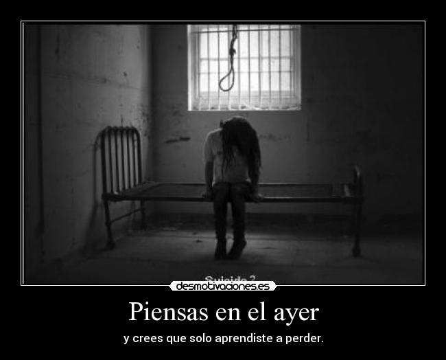 carteles crees que sirves una mierda sombras esto llega altura pero meh rtp3 desmotivaciones